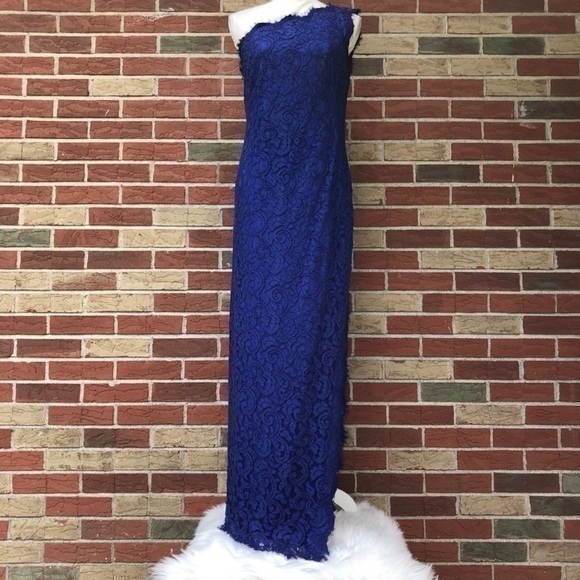 💋 Tadashi Shoji Asymmetrical Side Slit Blue Lace Maxi Dress - Picture 1 of 13